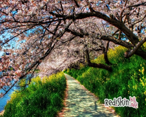 Весна — время перемен и новых идей