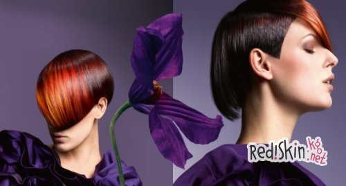 Когда стричь волосы