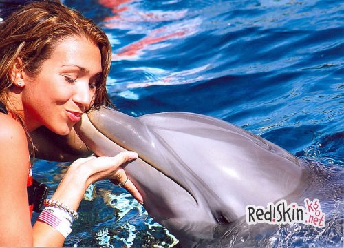 Купание с дельфинами