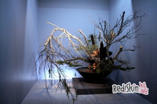 Ваза, как выражение изысканности, стиля и красоты