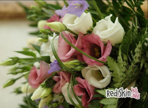 Ирландская роза — Эустома