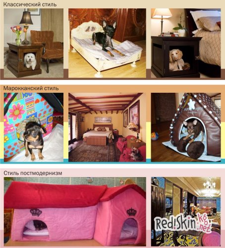 Интерьер для собаки