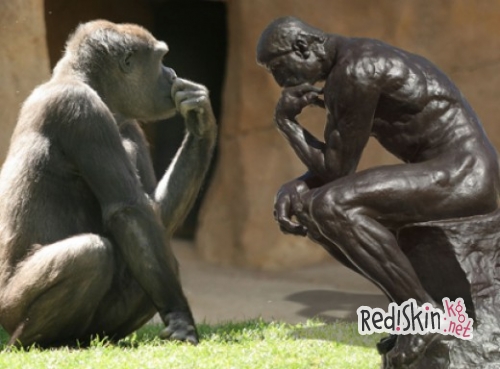 Отличие человека от животного со стороны психологии