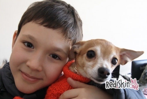 Бишкекчанка Василиса Калашникова создает наряды для собак и кошек