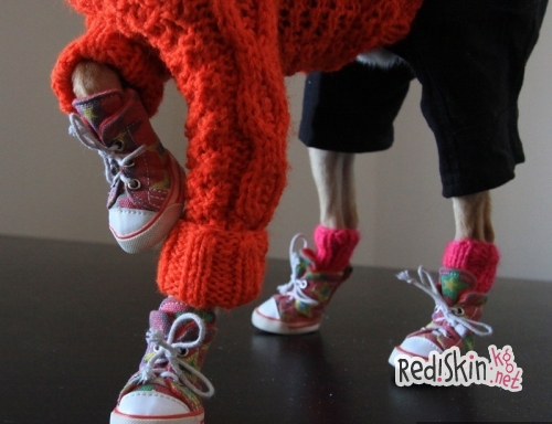 Бишкекчанка Василиса Калашникова создает наряды для собак и кошек