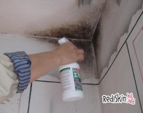 Избавляемся от плесени в доме