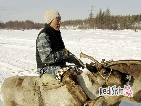 Белка на рожне