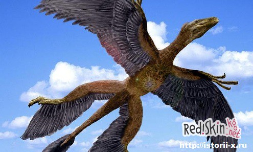 Динозавры произошли от птиц?