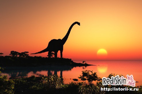 Динозавры произошли от птиц?