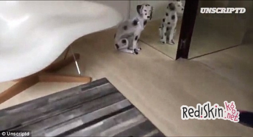 Дома знаменитостей: Криштиану Роналду провел экскурсию по своему дому