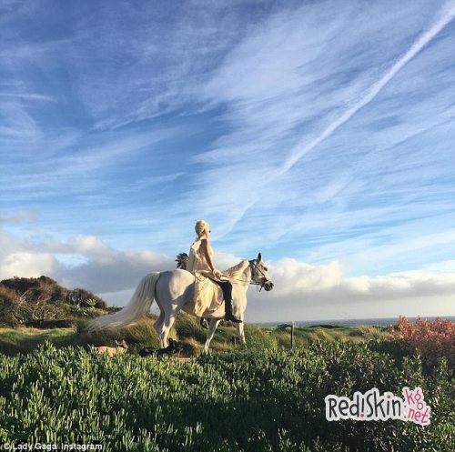 Леди Гага получила в качестве рождественского подарка Белого Ангела
