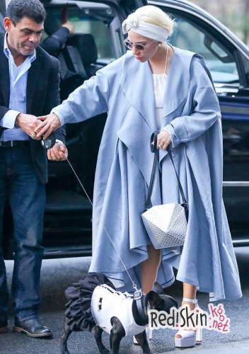 Леди Гага в рождественское утро направились в гости