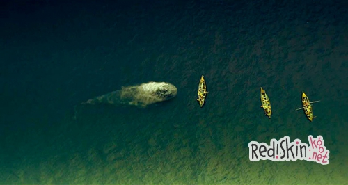 Пять причин пойти на "В сердце моря"