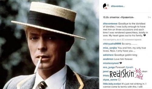 Мадонна, Шер, Дэвид Бекхэм, Рассел Кроу, Игги Поп и другие звезды о смерти Дэвида Боуи