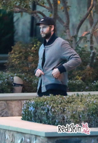 Майли Сайрус и Лиам Хемсворт возродили свою помолвку и съехались?