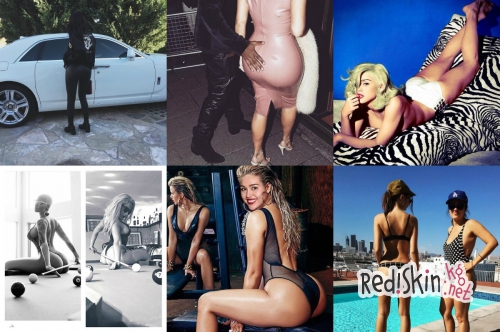 Новые белфи знаменитостей