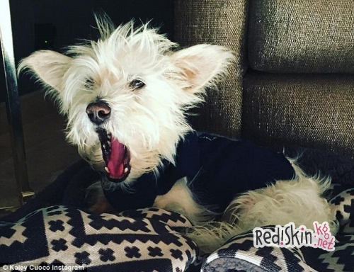 Новый год для Кейли Куоко начался с двойного несчастья