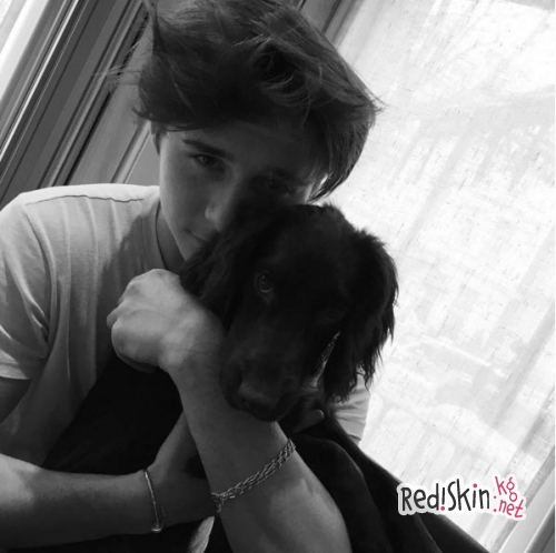 Топ 10 самых популярных домашних животнох знаменитостей: Тейлор Свифт, Бруклин Бекхэм, Крисси Тиган, Деми Ловато, Майли Сайрус, Льюис Хэмилтон, Кайли Дженнер, Кейли Куоко