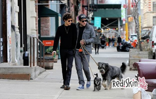 Нетрадиционные отношения: Закари Куинто и Майлз МакМиллан на прогулке со своими собаками
