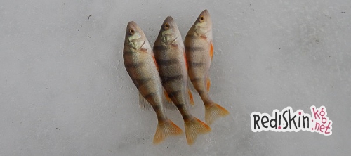 Пора экспериментов