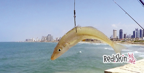 Рыбалка по-еврейски