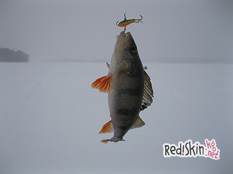 Тридцать лет спустя