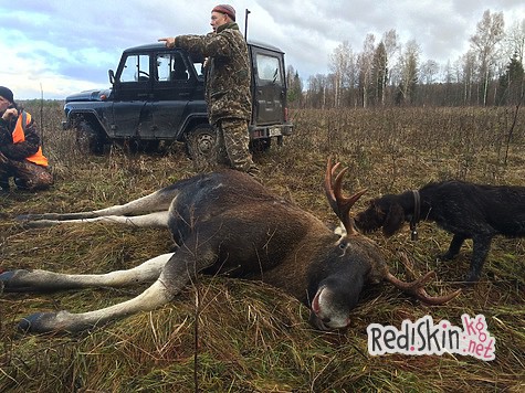 Записки тверского охотника