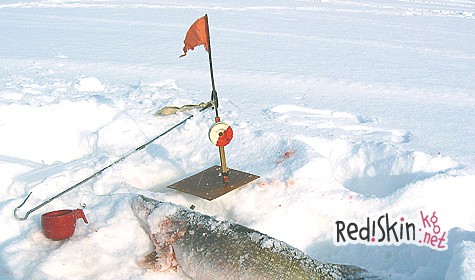 Эх, ловись, рыбка!