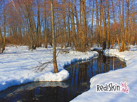 Какой будет весна?