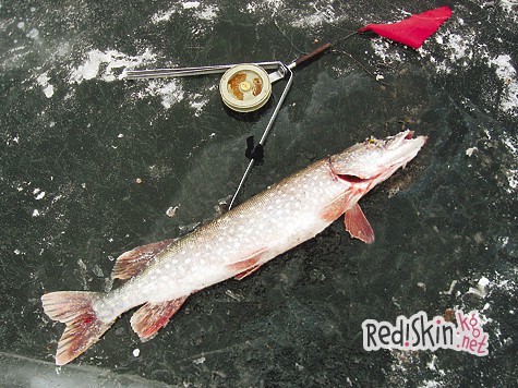 Первый лёд на Малой Кокшаге