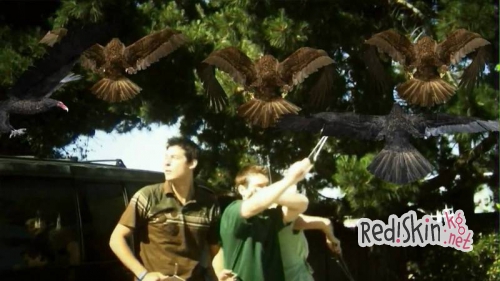 Топ-5 худших фильмов в недавней истории кино (видео)