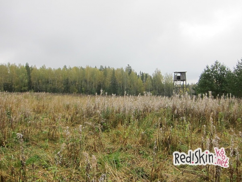 Жаркое из медвежатины с брусникой и грибами