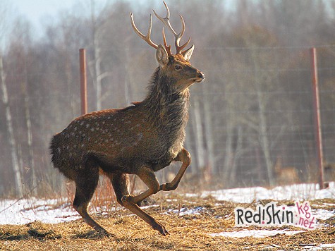 Уголок заповедной земли