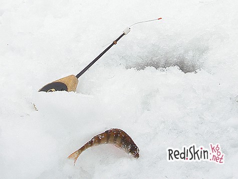 На весеннем мелководье