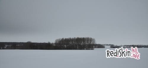 На лисицу с манком