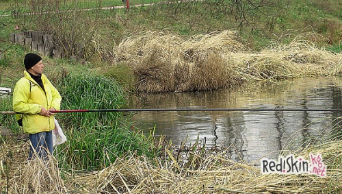 Игры в осенней воде